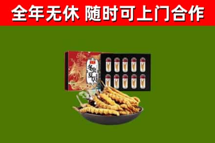 伊州烟酒回收冬虫夏草礼盒.jpg